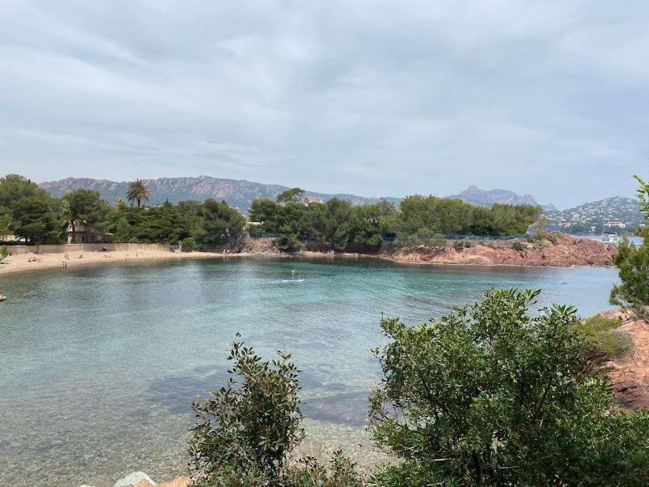 St Raphael 37M2, Piscine, Wifi, Commerces Mer 5Mn A Pieds Saint-Raphaël Kültér fotó